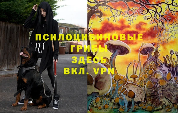 каннабис Алексеевка